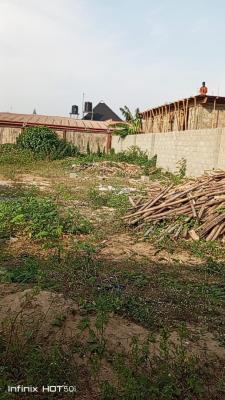 365sqm  of Dry Land (half Plot) in a Serene Environment, Omole Phase 1, Ikeja, Lagos, Mixed-use Land for Sale