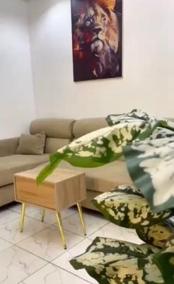 1 Bedroom Apartment, Ilaje Akoka, Bariga, Shomolu, Lagos, Flat / Apartment Short Let