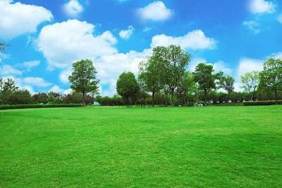 648sqm of Land, Chevron Drive, Lekki, Lagos, Residential Land for Sale