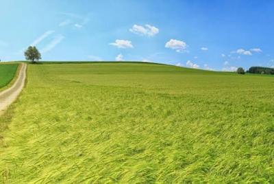 2000sqm of Land, Admiralty Way, Lekki Phase 1, Lekki, Lagos, Commercial Land for Sale