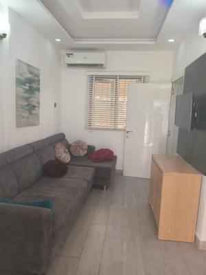 Serviced Furnished and Fully Fitted One Bedroom Apartment, Lekki Phase 1, Lekki, Lagos, Mini Flat (room and Parlour) for Rent