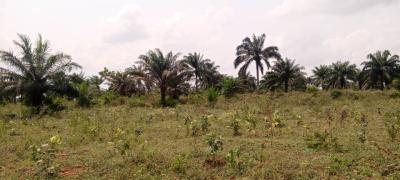 Acres of Land for Giveaway Prices, Lusada, Agbara-igbesa, Lagos, Mixed-use Land for Sale