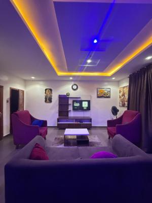 Nicely Furnished 2 Bedroom Apartment, Surulere, Lagos, Flat / Apartment Short Let
