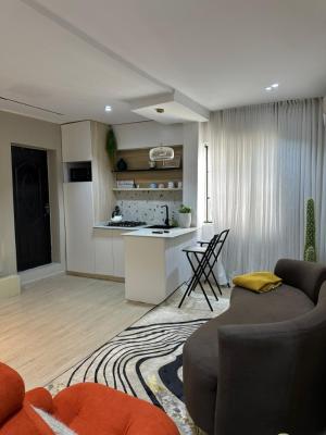 Nicely Furnished 1 Bedroom Apartment, Lekki Phase 1, Lekki, Lagos, Flat / Apartment Short Let