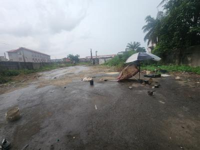 3600sqm Dry Land for Mixed Use Purposes, Yaba, Lagos, Mixed-use Land for Sale