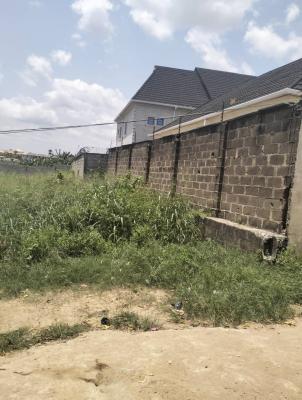 40ft By 140ft Land Fence Round at Off Lanre Bus Stop Lasu Igando Road, Alafia Street Off Collins Street Lanre Bus Stop Lasu Igando, Alimosho, Lagos, Mixed-use Land for Sale