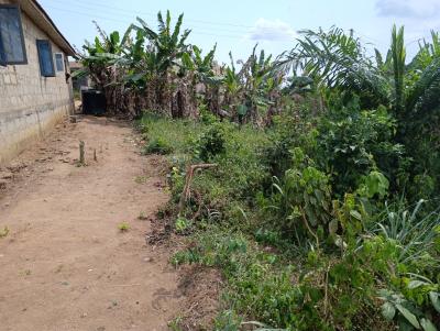 Full Plot of Land in a Very Decent Area on The Road, Itele Ogun State Close to Ayobo Lagos, Ado-odo/ota, Ogun, Mixed-use Land for Sale