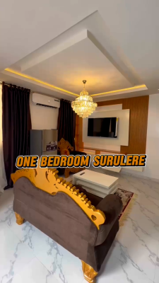Nicely Furnished 1 Bedroom Apartment, Surulere, Lagos, Flat / Apartment Short Let