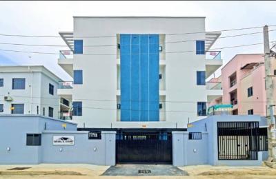 2 Bed Furnished Apartment, Ikate, Lekki, Lagos, Detached Duplex for Rent