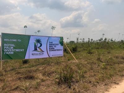 Investment Land with High Appreciation Potential in Palm Tree, Royal Palm Investment, Odogbolu, Ogun, Commercial Land for Sale