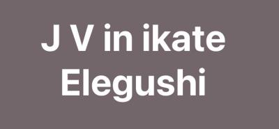 *joint Venture - Ikate-elegushi*, Ikate Elegushi, Lekki, Lagos, Land Joint Venture