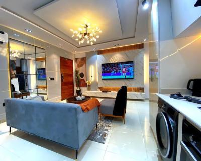 One Bedroom Apartment (mini Flat), Mijl Estate, Ikate, Lekki, Lagos, Mini Flat (room and Parlour) for Sale