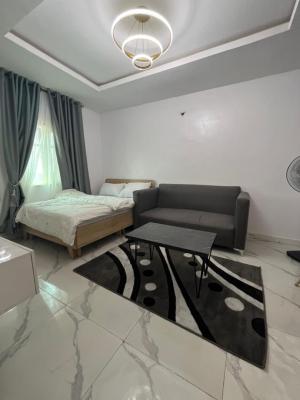 Fully Furnished Studio Apartment with Monthly Income in Akoka, Akoka, Yaba, Lagos, Self Contain (single Rooms) for Sale
