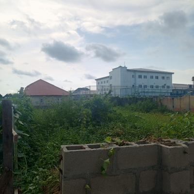 a Full Plot of Land Facing The Road in an Estate, Badore Ajah-lekki, Ajah, Lagos, Mixed-use Land for Sale