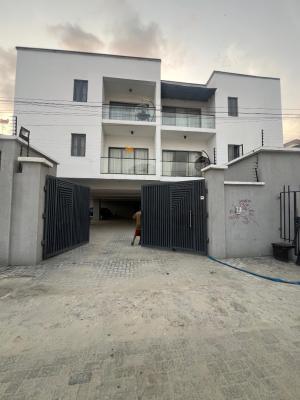Furnished 2 Bedroom Apartment, Ikate, Ikate Elegushi, Lekki, Lagos, Flat / Apartment for Rent