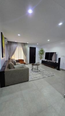 Nicely Furnished 2 Bedroom Apartment, Abule Oja, Yaba, Lagos, Flat / Apartment Short Let