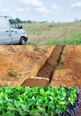 Fertile Farmland with a  Payment Plan Suitable for Cocoa & Plantain, Make Over 5 Million Naira From Cocoa & Plaintain Farming, Abeokuta North, Ogun, Mixed-use Land for Sale