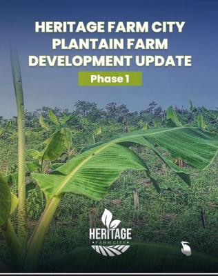 Affordable Farmland with a Promo Offer Close to  a Federal University, Earn Over 5 Million From Farming Annually, Alabata, Abeokuta North, Ogun, Mixed-use Land for Sale