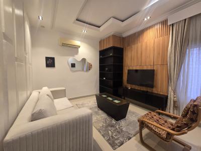 Fully Furnished & Serviced Ten (10) Units of Miniflats, Lekki Phase 1, Lekki, Lagos, Mini Flat (room and Parlour) for Rent