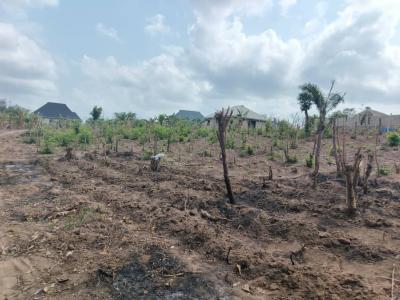 4191sqm of Land with Old Colonial Structure, Iyaganku, Iyaganku, Ibadan, Oyo, Mixed-use Land for Sale