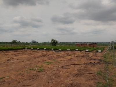Land, Iseyi Saki, Ogbomosho South, Oyo, Land for Sale