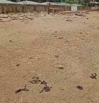 1084.72 Sqm of Land, Palmgrove, Ilupeju, Lagos, Mixed-use Land Joint Venture