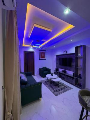 Newly Built, Fully Furnished & Serviced 2-bedroom Apartment, Victoria Island (vi), Lagos, Flat / Apartment Short Let