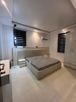 Luxury Furnished 2 Bedroom Apartment Bq with Excellent Facility, Ikate, Lekki, Lagos, Flat / Apartment for Rent