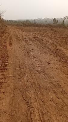 1 Hectare of Coconut Farmland, Obafemi Owode, Ogun, Land for Sale