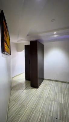Sharp Clean Standard One (1) Bedroom, Wuye District, Wuse, Abuja, Mini Flat (room and Parlour) for Rent