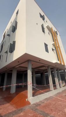 Unique 3 Bedroom Apartment + Gym & Bq, Ikate, Lekki, Lagos, Flat / Apartment for Sale