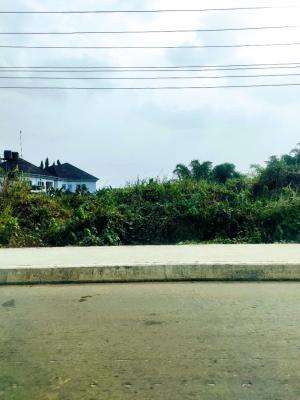 1236sqm Commercial Land at 2lanes for Purchase, Nsikak Eduok Avenue (2lanes), Uyo, Akwa Ibom, Commercial Land for Sale
