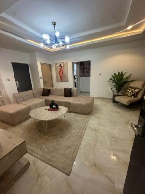 Tastefully Finished and Furnished 2-bedroom Apartment in Thr Villa, Asokoro District, Abuja, Flat / Apartment for Rent