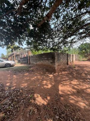 Half Acre with Oil Mill Structure, Otulu Main Road, Aniocha South, Delta, Factory for Sale