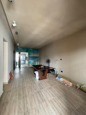 Soon to Be Furnished 2 Bedroom Apartment, Ikate, Lekki, Lagos, Flat / Apartment for Rent