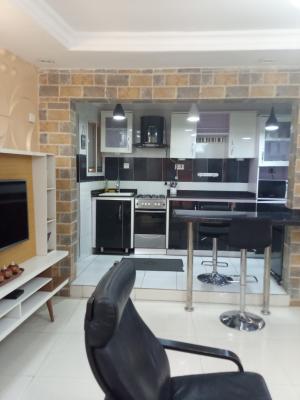 Standard Spacious Fully Furnished Miniflat with Modern Finishing, Surulere, Lagos, Mini Flat (room and Parlour) for Rent