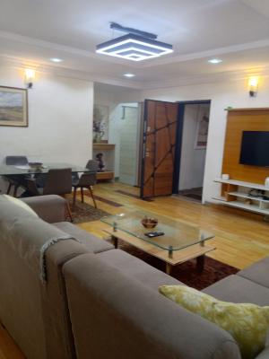 Spacious Fully Furnished 2 Bedroom  Flat with Bq with Modern Finishing, Surulere, Lagos, Flat / Apartment for Rent