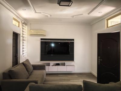 Furnished 2 Bedrooms Flat, Abidjan Street, Zone 3, Wuse, Abuja, Flat / Apartment for Rent