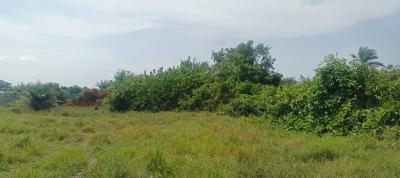 Corner Piece Land Measuring 600 Square Meters, Elemoro, Bogije, Ibeju Lekki, Lagos, Mixed-use Land for Sale