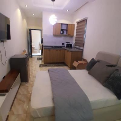 Studio Apartment, River Park Estate Abuja, Lugbe District, Abuja, Self Contain (single Rooms) for Rent