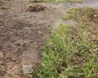 Joint Venture, Ramat Crescent, Gra, Ogudu, Lagos, Residential Land Joint Venture