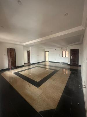 Well-maintained Spacious 2 Bedroom Penthouse with Bq, Vi, Victoria Island (vi), Lagos, Flat / Apartment for Rent