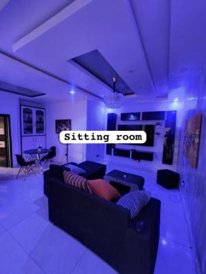 Luxury 2 Bedroom Apartment, Ikate Lekki Lagos, Ikate, Lekki, Lagos, Flat / Apartment for Rent
