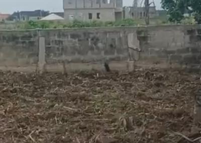 640sqm Full Plot of Dry Land Partly Fenced, Kings Royal Estate, 91 Road, Festac Phase 2, Abule-ado, Amuwo Odofin, Lagos, Land for Sale