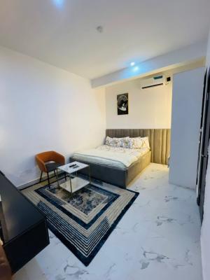 Exquisitely Furnished 2-bedroom Apartment, Ikate, Lekki, Lagos, Flat / Apartment for Rent