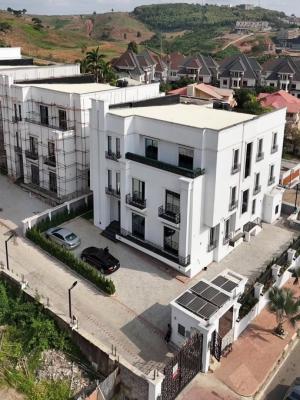 Brown New 7 Bedroom Detached Duplex with Bq, Swimming Pool, Asokoro District, Abuja, Detached Duplex for Rent