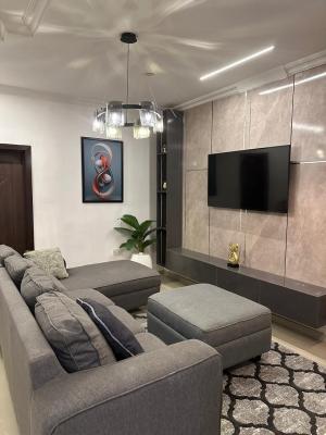 Fully Furnished Mini Flat, Lekki Phase 1, Lekki, Lagos, Mini Flat (room and Parlour) for Rent