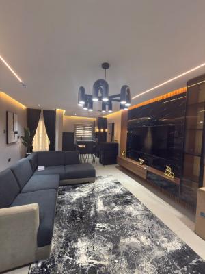 Exquisite 2-bedrooms Apartment, Wuye, Abuja, Flat / Apartment for Rent