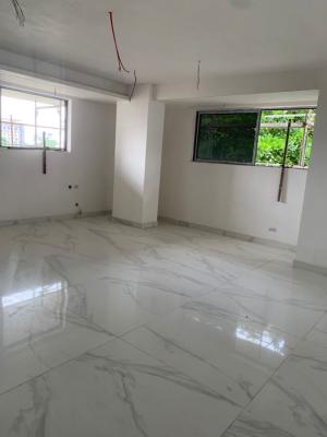 Luxury Built 4 Bedroom Maisonette on 3 Floors, Skyvilla Probyn Road Off Bourdillon, Old Ikoyi, Ikoyi, Lagos, Terraced Duplex for Sale