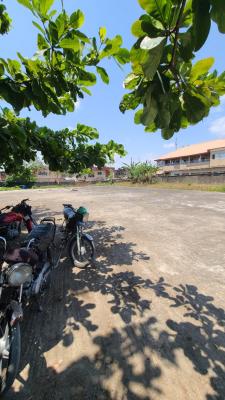 Mixed Used Land Available in a Very Bubbling Neighborhood, Festac, Amuwo Odofin, Lagos, Mixed-use Land for Sale